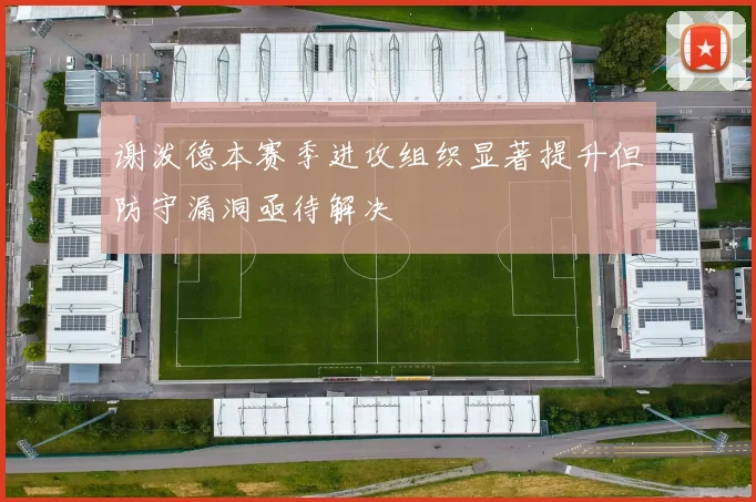 谢泼德本赛季进攻组织显著提升但防守漏洞亟待解决