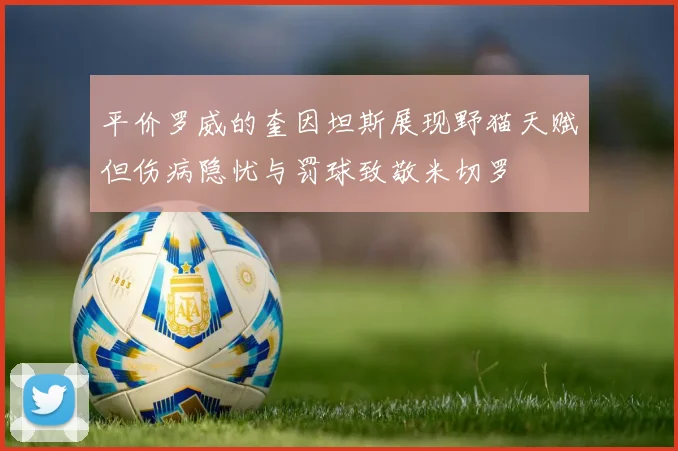平价罗威的奎因坦斯展现野猫天赋但伤病隐忧与罚球致敬米切罗